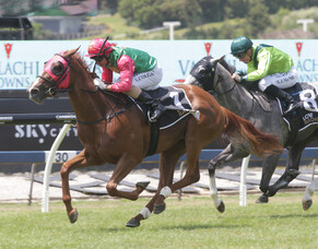 Partnership in search of breakthrough Group One