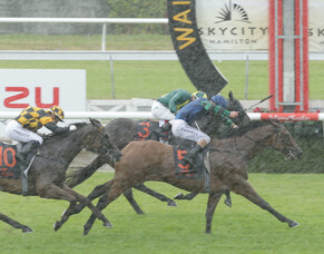 Sultan of Swing has all the right moves at Te Rapa