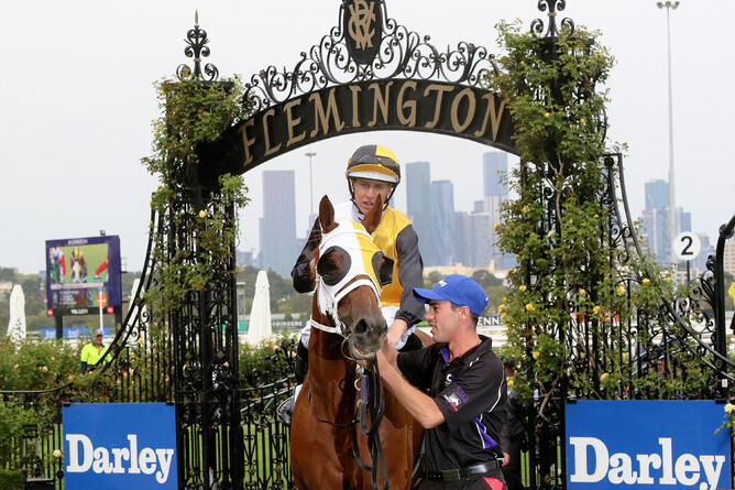 Star of the Seas returns a winner at Flemington. - Photo: Darryl Sherer