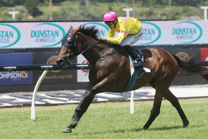 Star Tsar and Troy Harris win the Dunstan Feeds Stayers Championship Final (2400m) at Ellerslie Photo credit: Trish Dunell