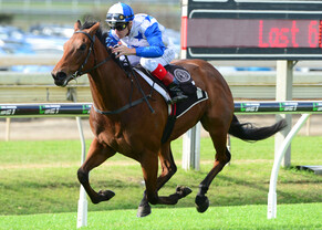 Bostonian flying ahead of Kingsford-Smith