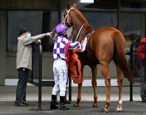 Gold Watch makes stunning return