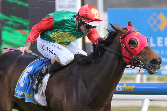 Luke Nolan is all concentration as he guides Zayydani to victory at Ballarat. - Photo: Bruno Cannatelli