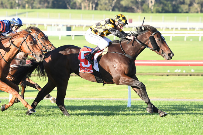 Excelida ridden by Damien Oliver wins at Sandown. (Pat Scala/Racing Photos)