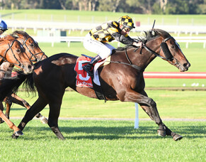 Black-type tests ahead for Excelida