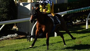 Purple Sector ends autumn on winning note