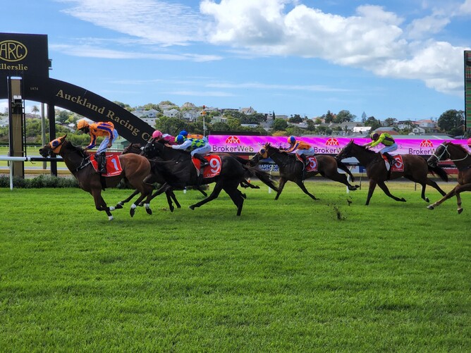 Prise De Fer is clear on the line to win at Ellerslie