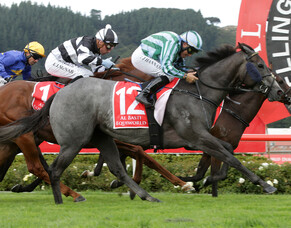 Telegraph possible for Emily Margaret