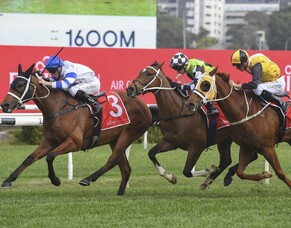 Star of the Seas strong in George Main