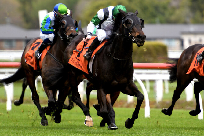 The Landing winning at Te Rapa on Friday. Photo: Kenton Wright (Race Images)