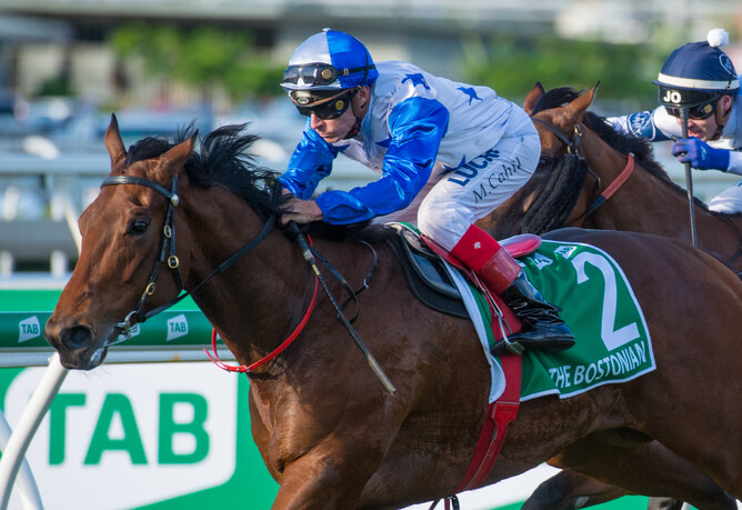 The Bostonian wil resume at Moonee Valley on Friday night - Sharon Lee-Chapman