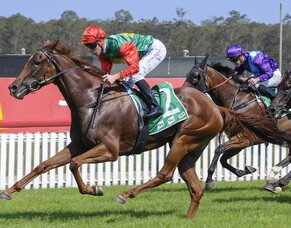 Super run from Seblume