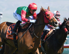 Two Illicit too good in Hastings feature sprint