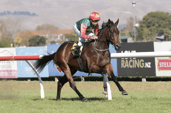 Loire -  Photo: Trish Dunell