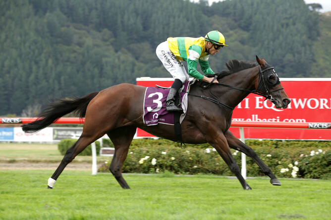 Concert Hall resumes at Ellerslie on Saturday. Photo: Trish Dunell