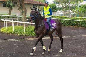 Trelawney grad back on warpath