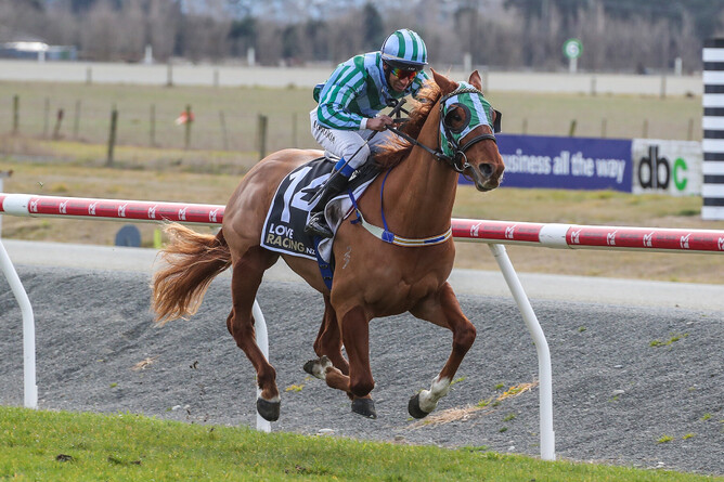 Impressive debutant Show Bazz scores comfortably at Ashburton Photo: Race Images South
