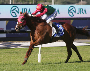 Two Illicit near peak for Classic