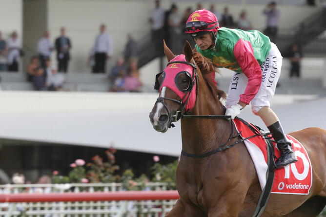 Vinnie Colgan will ride Two Illicit in the Gr.1 Zabeel Classic (2000m) at Ellerslie on Sunday. - Photo: Trish Dunell