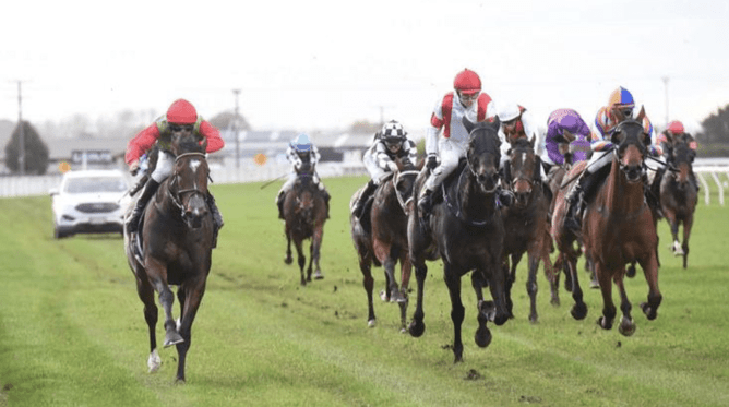 Photo: Peter Rubery (Race Images Palmerston North) Loveracing.co.nz