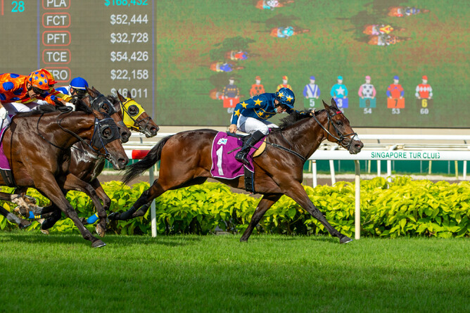 2022 Singapore Horse of the Year Lim's Kosciuszko. - Photo: STC