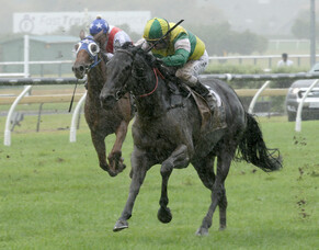 Sandrine proves too tough in Ellerslie slog