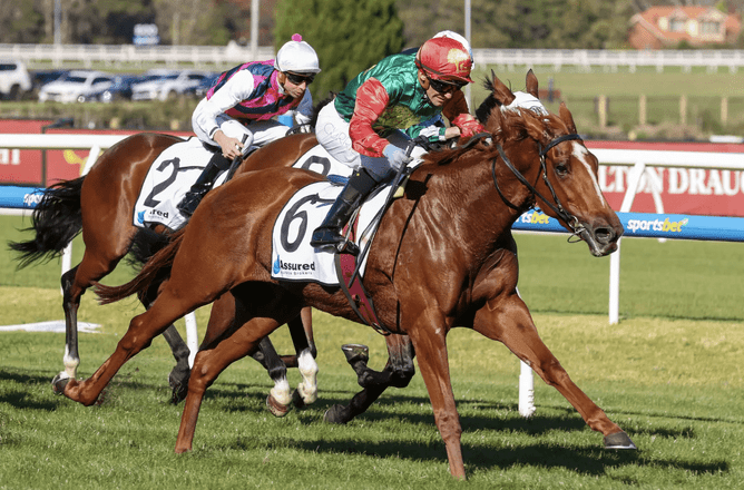 Madiyya at Caulfield. Photo: Bruno Cannatelli / Racing News