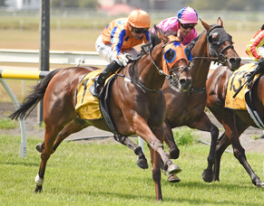 Five in a row for Prise De Fer