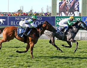 Saturday to decide Guineas tilt for Emily Margaret