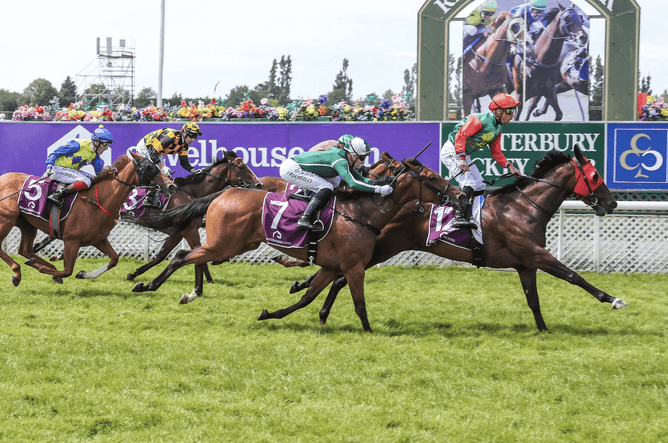 Loire winning the Gr.1 NZ 1000 Guineas. Photo: Race Images South