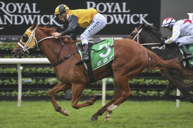 Group One performer Star Of The Seas. - Photo: bradleyphotos.com.au