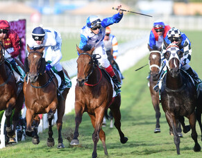 Group One treble on the cards for The Bostonian