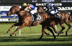 Spieth - Trelawney Stud Bred & Sold