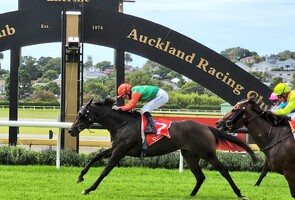 Samiam Seussie - Raced by Brent & Cherry Taylor, Faith Taylor & Jane Taylor