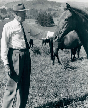 Seton Otway spending time with one of his foals