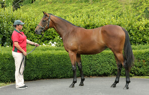 Lot 166 - Tavistock x La Sizeranne