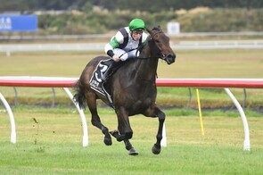 Witz End - Trelawney Stud Bred & Sold