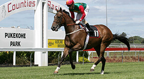 Ruud Van Slaats - Bred & Raced by Trelawney Stud