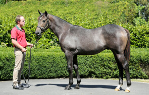 Lot 902 - Jimmy Choux x Seven Schillings