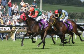 Indecision - Trelawney Stud Part-Owned