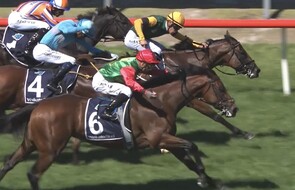 Petrucci - Race by Brent, Cherry & Faith Taylor