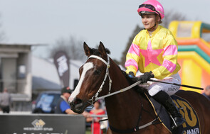 Serious Satire - Trelawney Stud Born & Raised