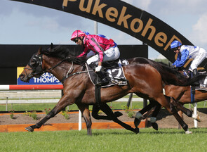 Seajetz - Bred & sold by Trelawney stud