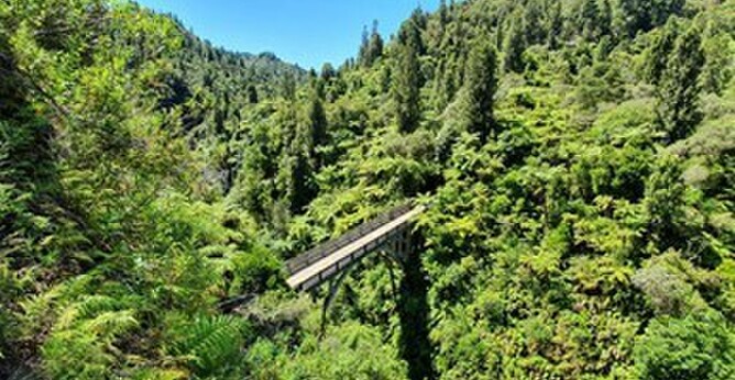 The Bridge has high heritage and tourism value and requires regular preventative work