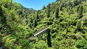 Stabilising the Bridge to Nowhere  | Mangapurua