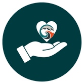 Donate or Volunteer | Mountains to Sea NZ