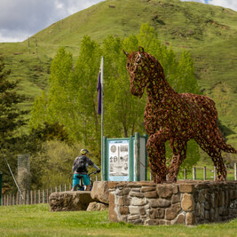 Mountains to Sea Connector | Mountains to Sea