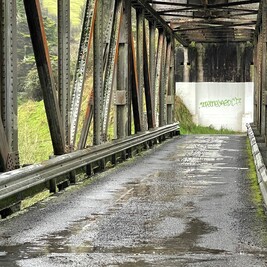 Timber Trail Connector | Mountains to Sea