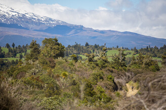 42 Traverse - The other iconic Ruapehu Ride