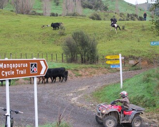 Ruatiti Connector - Grade 3 | 45kms | 3 -5 hours